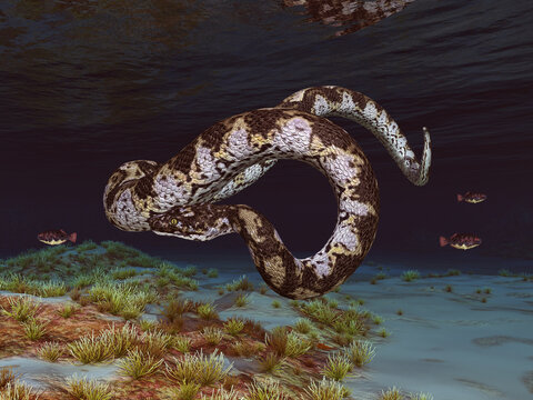 Prähistorische Riesenschlange Titanoboa unterwasser