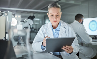 Science, tablet and innovation with a woman engineer doing research in a medical laboratory. Analytics, internet and technology with a doctor or scientist working on future development in her lab