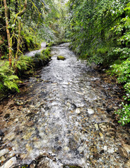 River Lyd - Lydford Gorge, Dartmoor National Park, Devon, United Kingdom