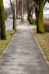 A bike path in the city among the trees on a gloomy autumn day. City.