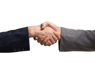 Two business people handshake. - 536060442