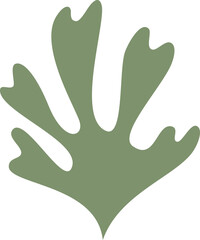 Obraz premium hand drawn abstract organic plant