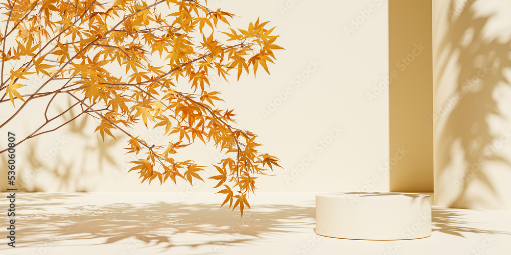 Poster 3d rendering  background podium. display stand . Abstract minimal scene with geometric forms  with decorative maple leaves.  products display 