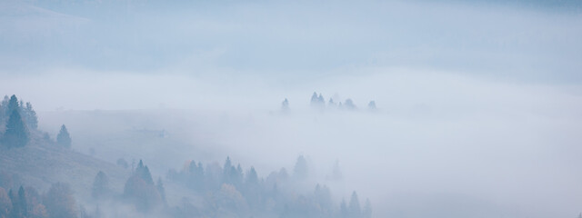 Fototapeta na wymiar Mountain hills under morning fog at beautiful autumn foggy scenery. Wide panoramic landscape of Carpathian mountains. Ukraine.