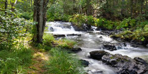 Stream and waterfalls in Maine