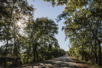 road, trees and blu sky