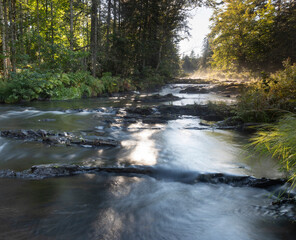 Stream running through a Maine forest