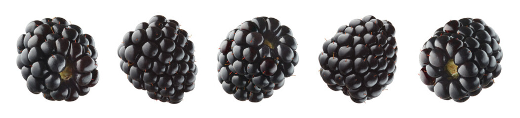 Collection or set of various fresh ripe blackberries on white background