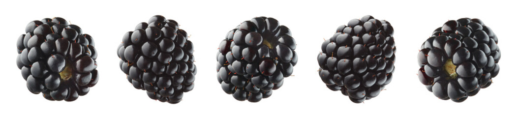 Collection or set of various fresh ripe blackberries on white background © baibaz