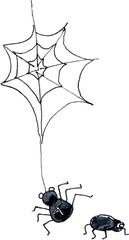 Black spider. Web. Halloween design. Watercolor illustration. PNG transparent background.