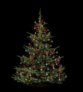 Freigestellter dekorierter Weihnachtsbaum vor dunklem Hintergrund
