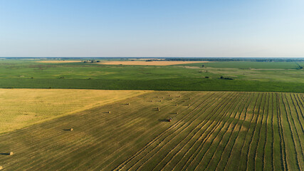 Aerial view tractor with baling machine making silage bales on farmland at agricultural field. Drone shot haystack and harvesting dry grass for agriculture. Farmers season to cut and harvest crops