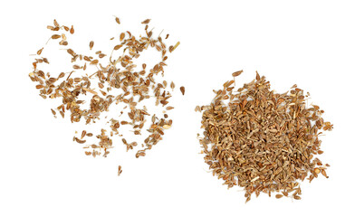 Anise seeds isolated on a white background