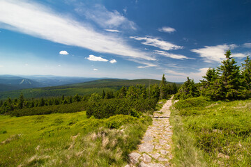 A path for mountain hiking in summer time. Krkonose. Czech Republic.