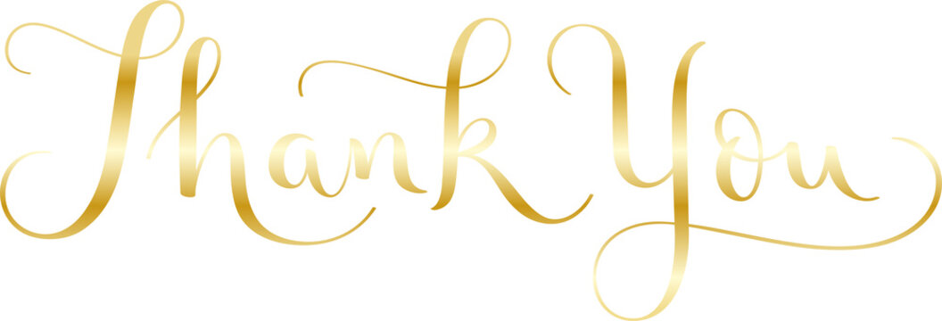 THANK YOU metallic gold brush calligraphy banner on transparent background