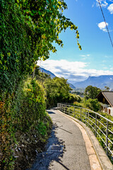 Meran, Weinberge, Spazierweg, Tappeinerweg, Aussicht, Panoramaweg, Dorf Tirol, Altstadt, Vinschgau, Etschtal, Südtirol, Herbst, Herbstsonne, Italien