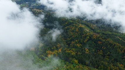 Fototapeta na wymiar Panorama of forest covered by low clouds. Autumn rain and fog on the mountain hills. Misty fall woodland.
