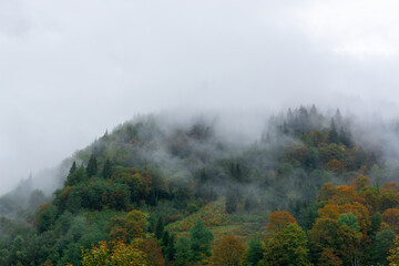 Fototapeta premium Low sky in the mountains. Autumn rain and fog on the mountain hills. Misty fall woodland.