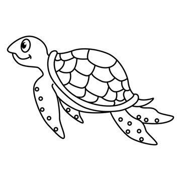 Cute turtle cartoon characters vector illustration. For kids coloring book.