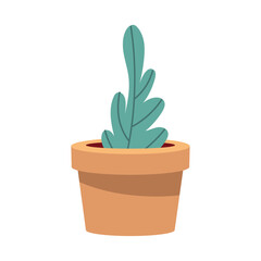 houseplant in pot