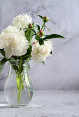 Peonies in a vase. Stylish white peonies in the hands of a florist. The florist girl collected a bouquet. Pruning spring white flowers. A gift for the holiday. Fresh floral