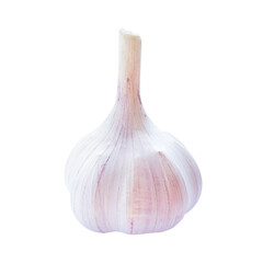 Garlic raw vegetable isolated on transparent background.