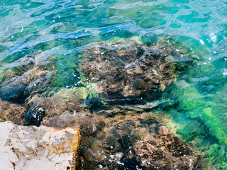 Seashore stones view. Stones in a clear blue rippeling water