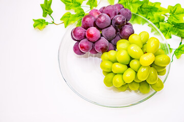 ブドウ　シャインマスカット　ピオーネ　【 ふるさと納税 の 返礼品 の イメージ 】