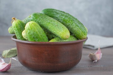 Close-up of a clay bowl with fresh cucumbers. Farm product, harvest.