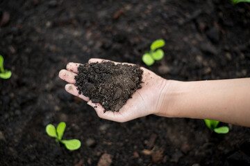 farmer hands holding soil organic