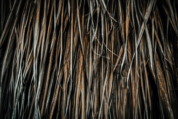 horror background of dry leaves, dark and scary look. cinematic Halloween scene in urban style...