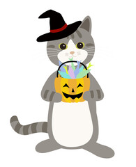 トリックオアトリート　お菓子を持つハロウィーンのグレー猫　背景透明