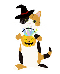 トリックオアトリート　お菓子を持つハロウィーンの三毛猫　背景透明