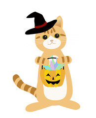 トリックオアトリート　お菓子を持つハロウィーンの茶白猫　背景透明