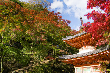大威徳寺（大阪府岸和田市）の秋風景