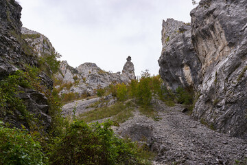 Rocky mountains landscape