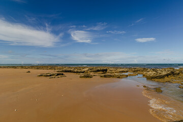 natural landscape in the district of Arraial D'Ajuda, city of Porto Seguro, State of Bahia, Brazil