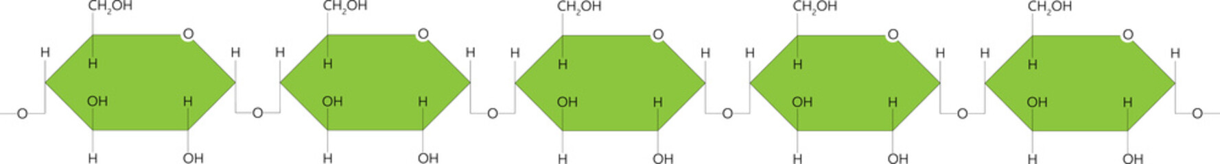 Amylose - plant polysaccharide. Component of starch. 