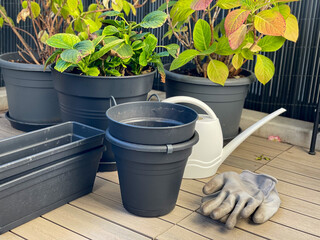 Empty flower pots and hydrangea plants in autumn time on a balcony, preparing the balcony garden for winter