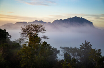 Sunrise sea of fog above Khao Sok national park, Surat Thani, Thailand