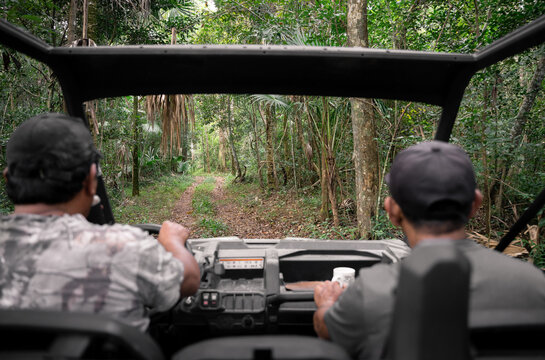 Driver in camouflage driving UTV on road past forest