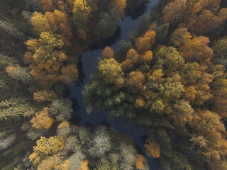 Fototapeta na wymiar Autumn colors in a beautiful forest. Air view. Winding river.