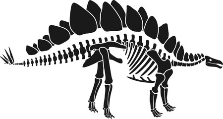 Stegosaurus skeleton Prehistoric Animal. Vector illustration