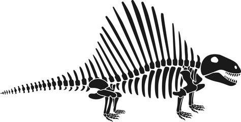 Spinosaurus Dinosaur skeleton Prehistoric Animal. Vector illustration © Mykola Syvak