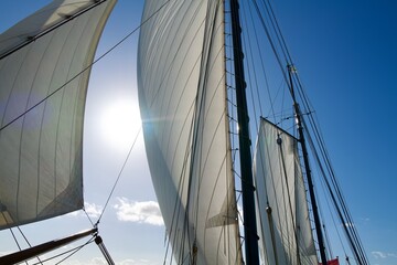 mast of a ship with white seals in the bright sunlight