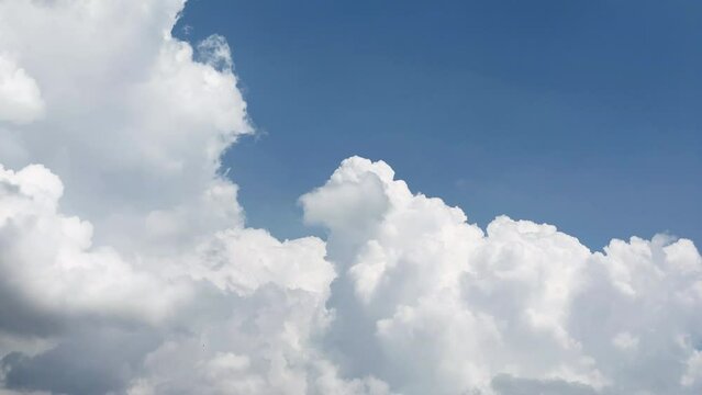 湧き上がる夏の雲　背景に青空　クラウドスケープ　タイムラプス