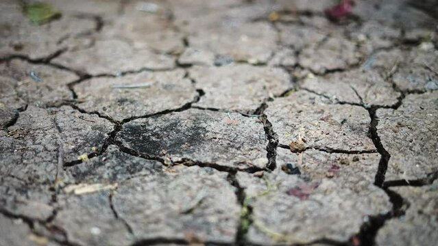 soil cracked by thirst. global warming predictor.