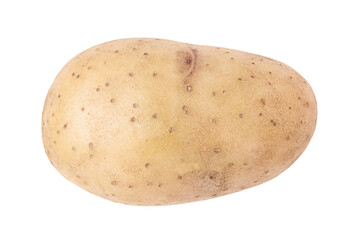 One young potato isolated on transparent background