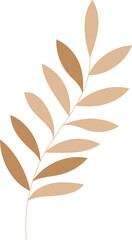 Leaf Organic Shape Plant Branch