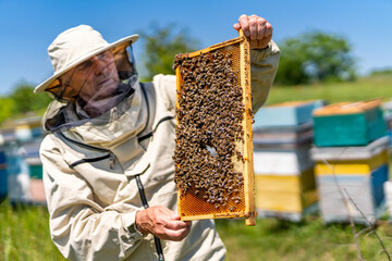 Honey farming handsome man. Beekeeping apiarist working with honeycombs.